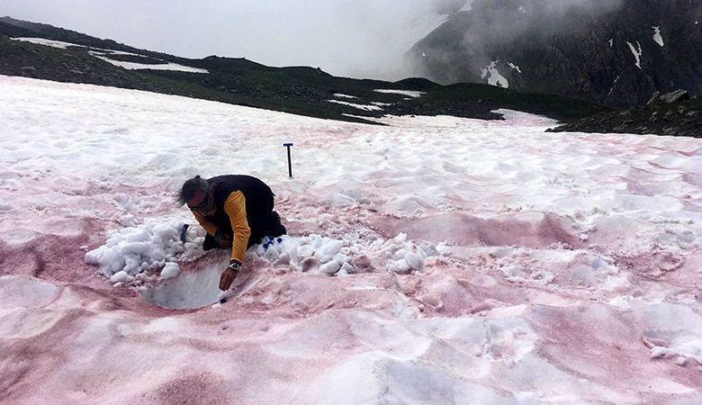 Le « sang des glaciers » pourrait être la clé pour comprendre les impacts du changement climatique Par Nicoletta Lanese publié le 7 juin 21 Une expédition dans les Alpes françaises révèle la biologie du « sang des glaciers » et son impact sur le changement climatique.