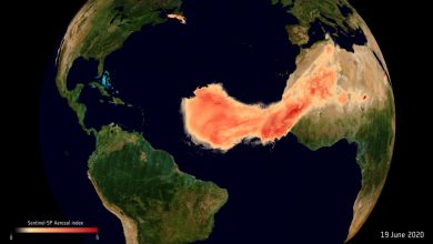 Le satellite voit le panache de poussière de "Godzilla" balayer l'océan Atlantique Par Meghan Bartels publié le 10 juillet 20 Chaque année, la poussière du désert du Sahara souffle de l'Afrique et de l'autre côté de l'Atlantique, mais la plupart des années, ce panache n'est pas si massif qu'il est surnommé "Godzilla". "