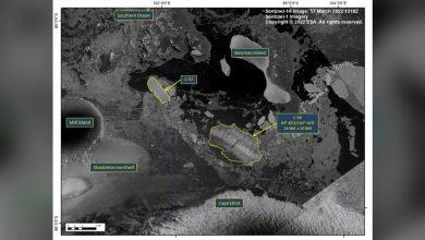 L'effondrement soudain de la plate-forme de glace de l'Antarctique pourrait être le signe de choses à venir Par Cameron Duke publié le 26 mars 22 Une énorme plate-forme de glace de l'Antarctique qui couvrait une zone de la taille de New York ou de Rome vient de s'effondrer dans l'océan.