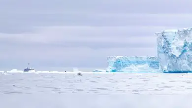 L'énorme iceberg de l'Antarctique qui est devenu une star d'Internet fond enfin Par Stephanie Pappas publié le 20 avril 21 L'iceberg A68, un énorme morceau de glace qui s'est détaché de l'Antarctique en 2017, a finalement fondu dans l'Atlantique.