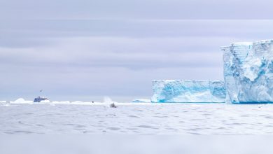 L'énorme iceberg de l'Antarctique qui est devenu une star d'Internet fond enfin Par Stephanie Pappas publié le 20 avril 21 L'iceberg A68, un énorme morceau de glace qui s'est détaché de l'Antarctique en 2017, a finalement fondu dans l'Atlantique.
