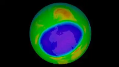 Les CFC destructeurs d'ozone pourraient faire leur retour à la fin du XXIe siècle Par Rafi Letzter publié le 15 mars 21