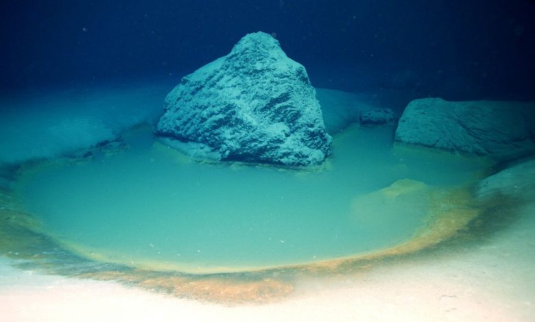 Scientists discovered the rare brine pools in the Gulf of Aqaba during a four-week OceanXplorer research voyage.