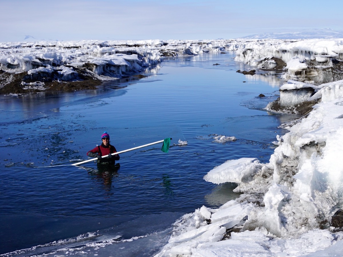 Alison Banwell patauge dans un lac d'eau de fonte en Antarctique pour récupérer un capteur de pression.