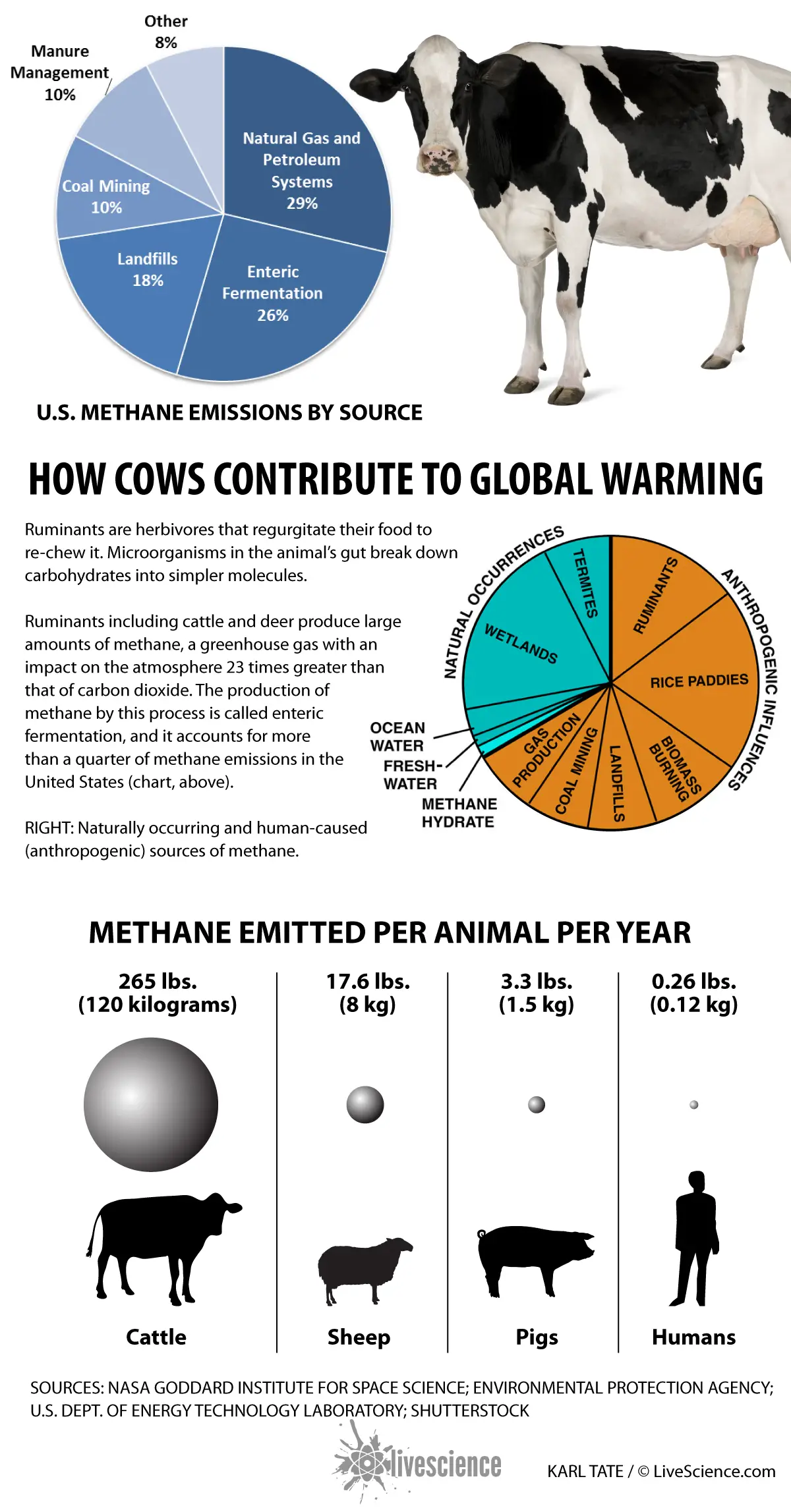 Le gaz méthane fermenté dans les entrailles des animaux de ferme contribue jusqu'à 26 % des émissions de méthane aux États-Unis. [See full infographic]