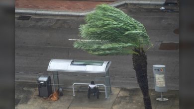 Pourquoi l'ouragan Ida est-il resté si fort pendant si longtemps ?  Par Stephanie Pappas publié le 30 août 21 Coastal Louisiana a fourni à l'ouragan Ida suffisamment de carburant pour alimenter les vents d'un ouragan majeur pendant des heures.