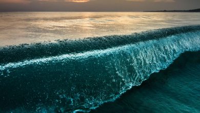 Pourquoi ne pouvons-nous pas boire de l'eau salée ?  Par John Loeffler publié le 27 juin 22 Plus de 70% de notre petite planète bleue est recouverte d'eau, mais nous ne pouvons en boire qu'une infime partie.  Pourquoi ne pouvons-nous pas boire de l'eau salée alors qu'elle est tout autour de nous ?