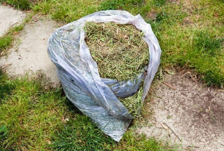 Que faire de l'herbe tondue ? 3 façons de la recycler !