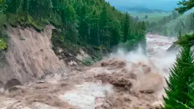 Une vidéo montre des inondations déchaînées à Yellowstone Par Stephanie Pappas publié le 25 juillet 22 Routes et bâtiments emportés, berges minées - une nouvelle vidéo du National Park Service montre les dégâts causés par l'inondation du 13 juin à Yellowstone.