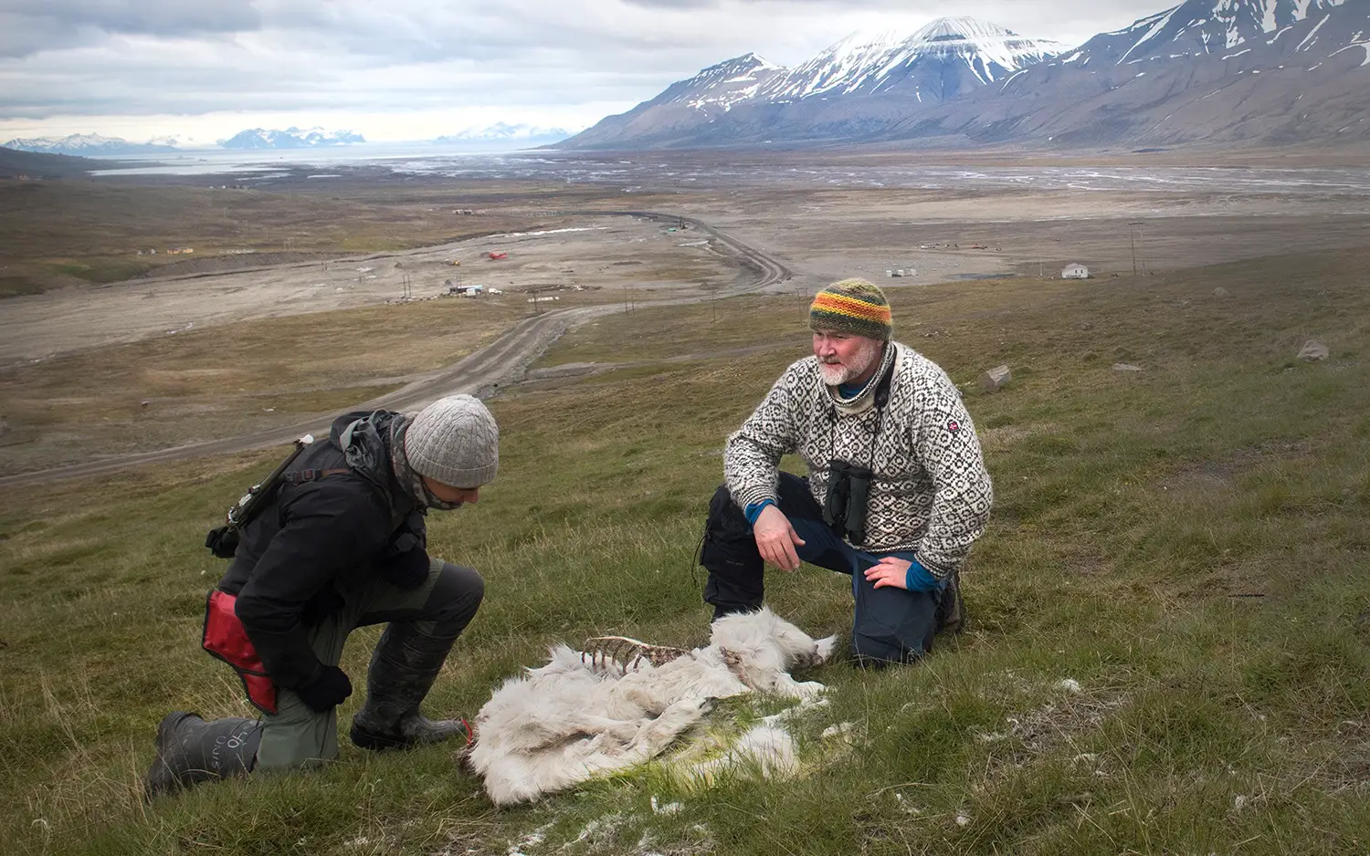 Les écologistes du NPI Hamish Burnett et Mads Forchhammer examinent les restes de rennes trouvés en juin.