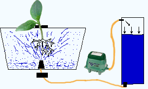 Aéroponie avec un compresseur d'air