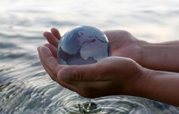 Cultiver des plantes en hydroponie