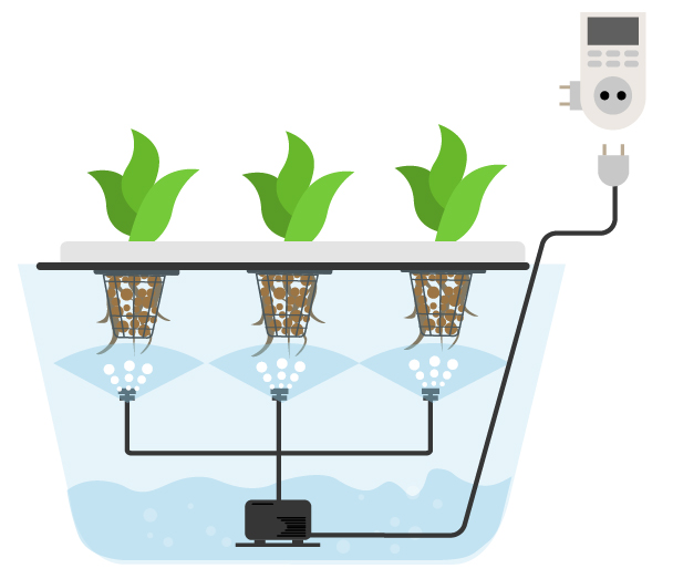 Accessoires Accessoires pour l'aéroponie