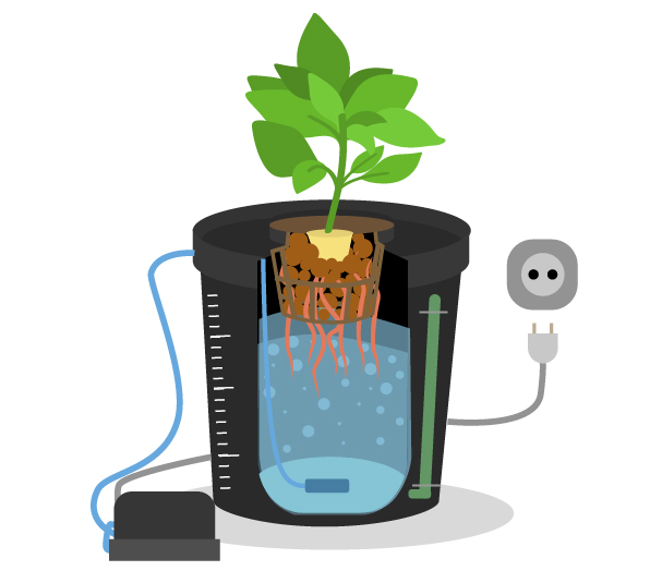 Méthode de culture en haute mer Installation DWC