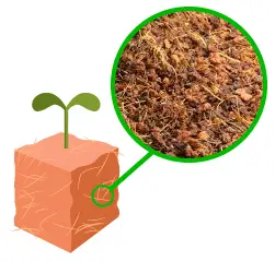 Substrat de coco pour plantes