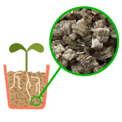 Vermiculite pour plantes