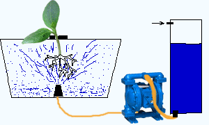 Aéroponique bricolage