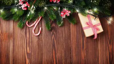 Deck the Halls With Something Eco: Green Ideas for a Sustainable Holiday