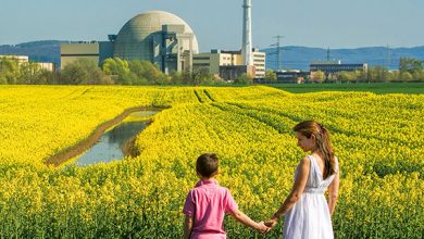 Pros and Cons of Nuclear Energy: Safety, Cost, & Efficiency