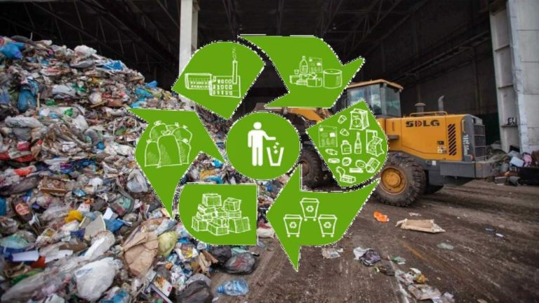Gestion Des Déchets : Tout Ce Qu’il Faut Savoir Pour Agir Efficacement ...