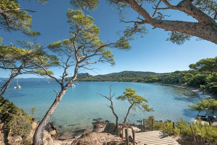 Littoral de l'île de Porquerolles, mer Méditerranée, France.