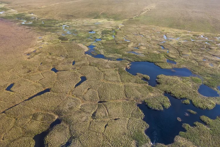 Toundra du versant nord arctique de l'Alaska dans la réserve nationale de pétrole.