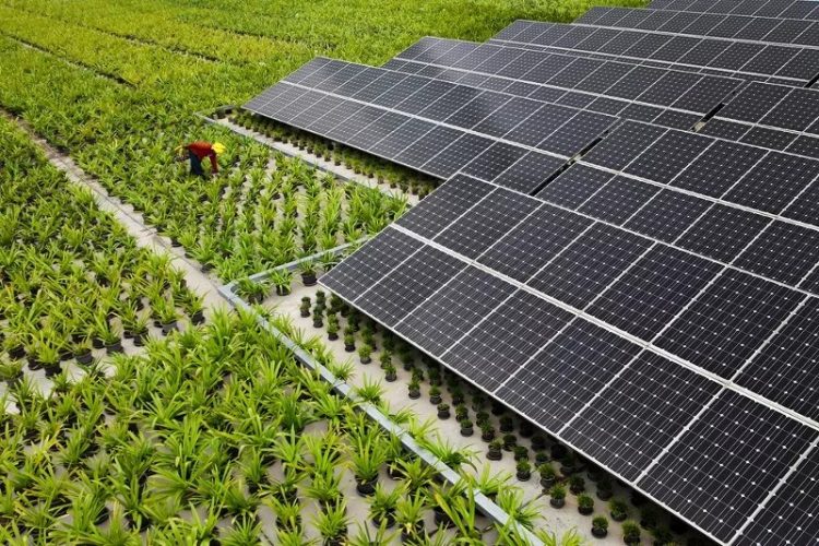 Les concentrateurs solaires fonctionnent en dirigeant le rayonnement solaire vers un récepteur rempli de fluide. Le fluide devient chaud et bout, produisant de la vapeur qui fait tourner la turbine d'un générateur.