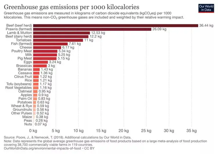 émissions de gaz à effet de serre par 1000 kilocalories